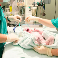 Атрезия заднего прохода. Какова вероятность выживания?